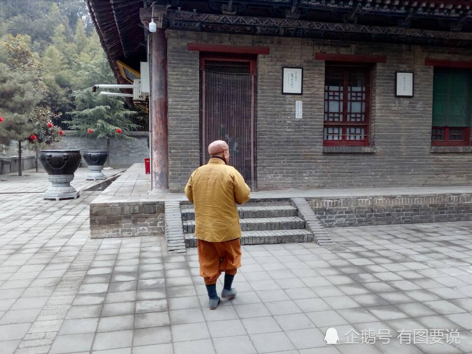 西安兴教寺门前这棵 菩提树 真的很美 果实经过一个冬天不落 看点快报