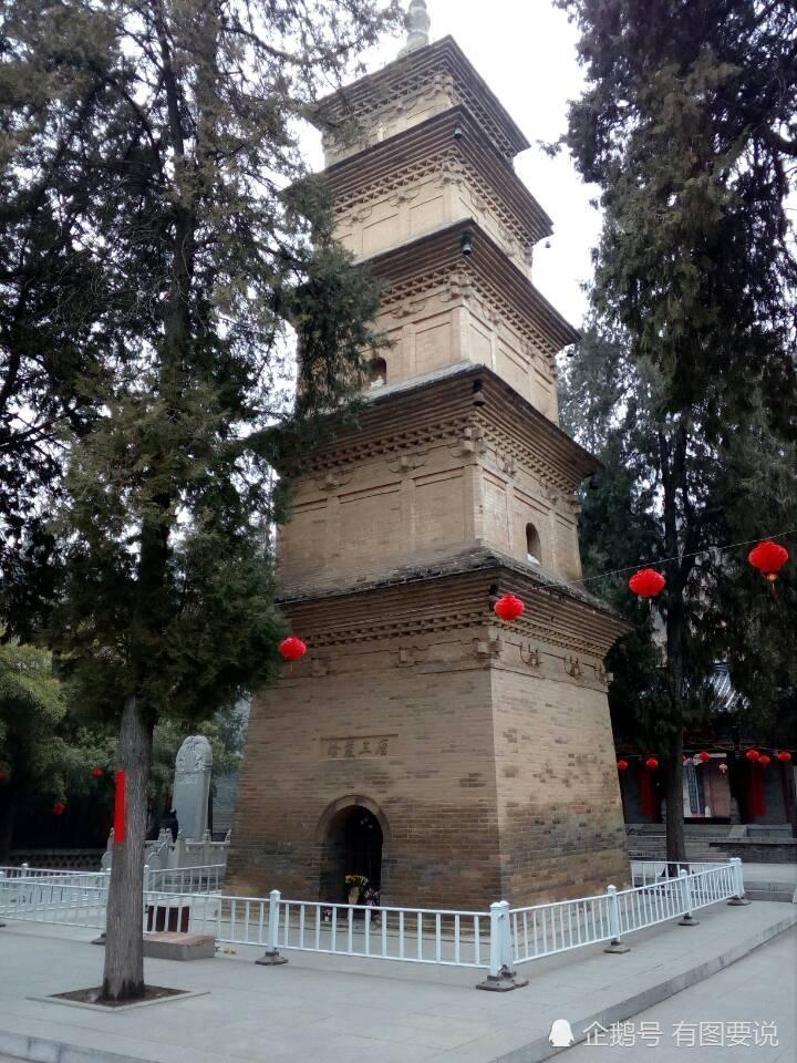 西安兴教寺门前这棵 菩提树 真的很美 果实经过一个冬天不落 看点快报