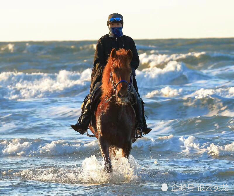 你试过骑马奔跑在海边吗?