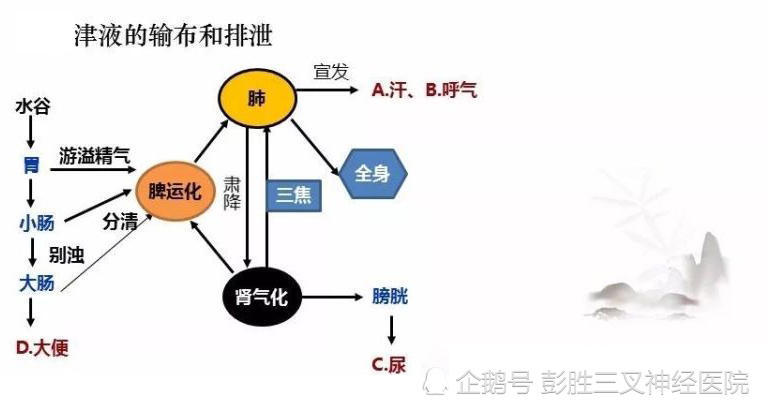 如果津液不足,身体里的水分就不够,就会出现燥热的现象.