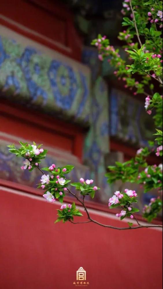 故宫唯美壁纸