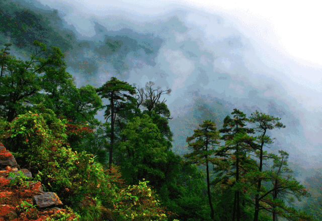 谁说下雨天只能宅在家? 雨天的临安别有一番风味