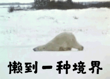 懒到一种境界的搞笑动图表情包