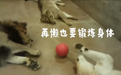 懒到一种境界的搞笑动图表情包