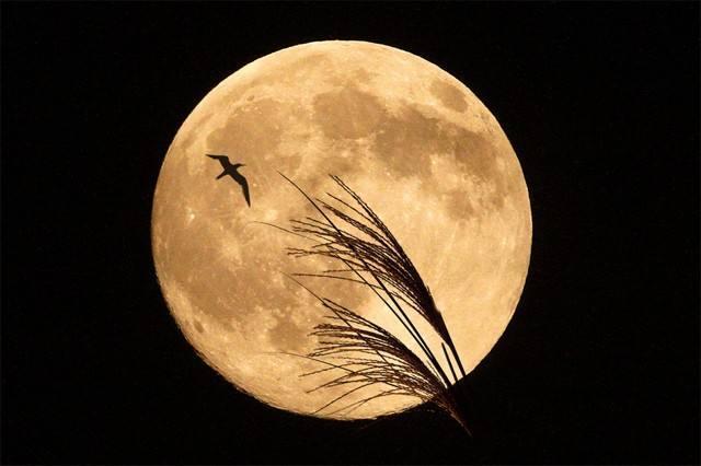 夜空明月的实拍技巧,拍出漂亮的月亮