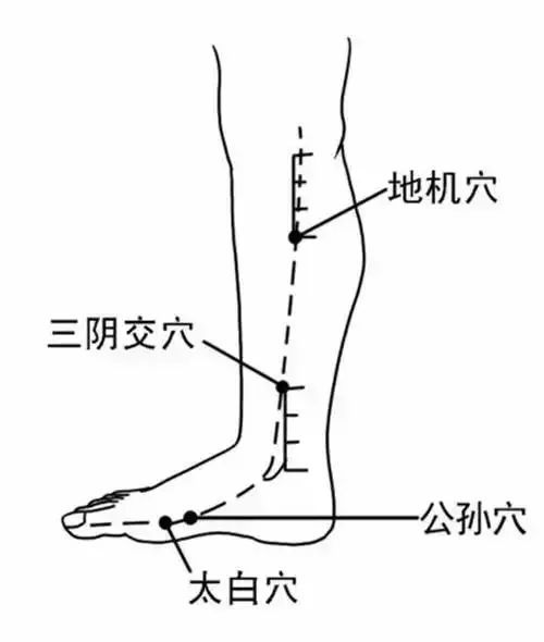 脾经梳理,敲揉地机穴,点揉公孙穴,太白穴