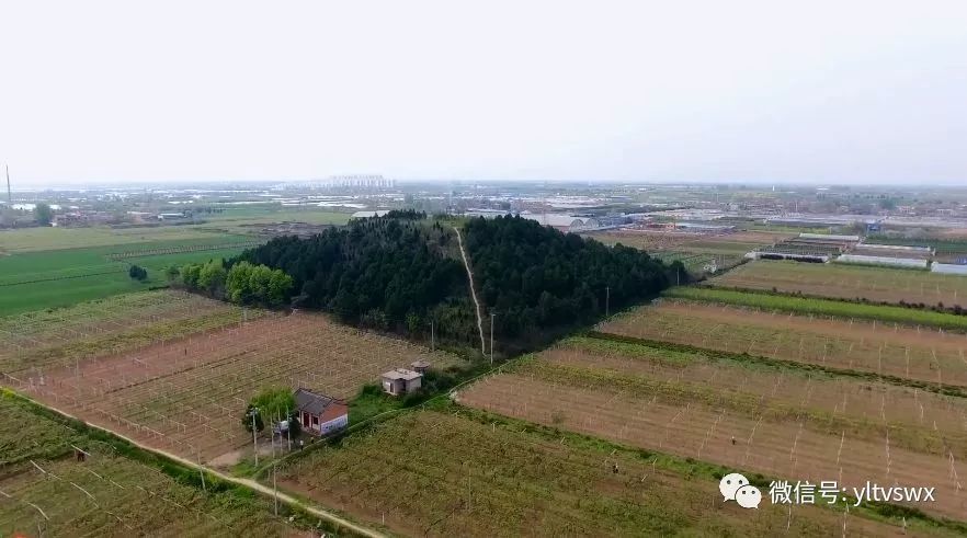 隋文帝泰陵