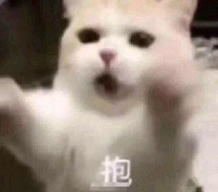 撒娇表情包:睡醒了,要抱抱