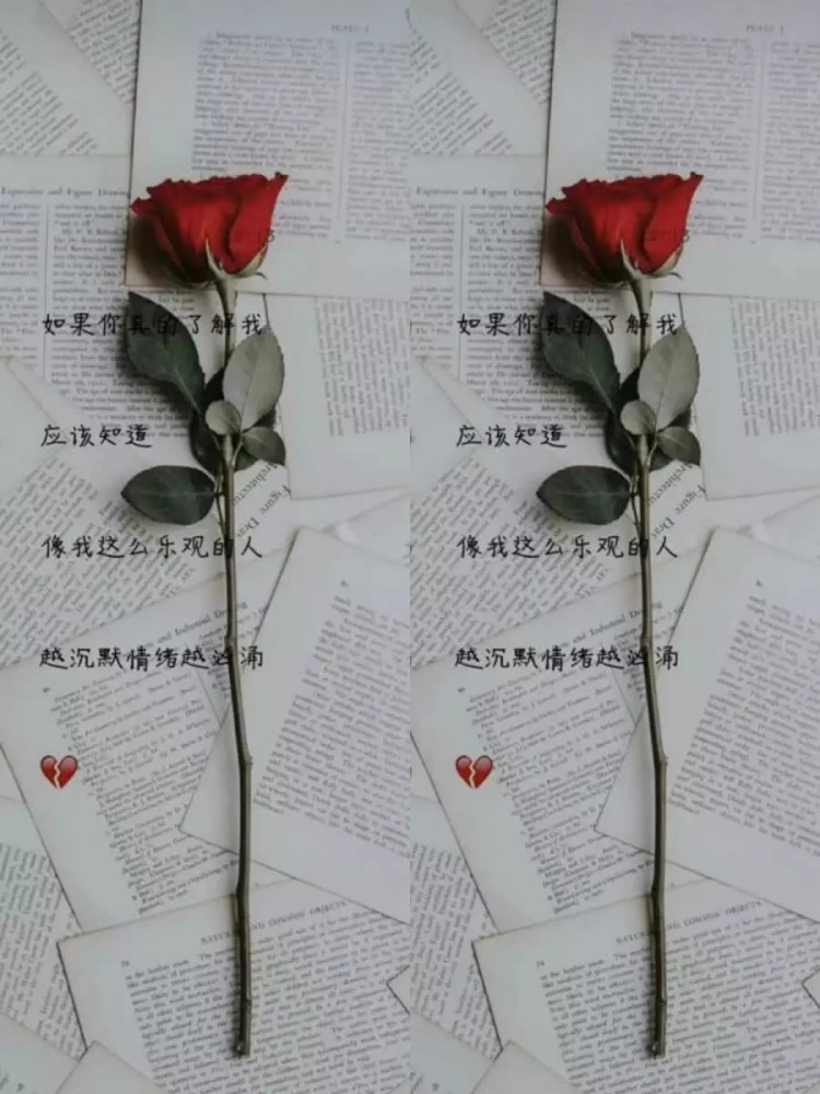 一朵漂亮的玫瑰花,作为一个聊天背景图也很漂亮,里面的一句话是不是也