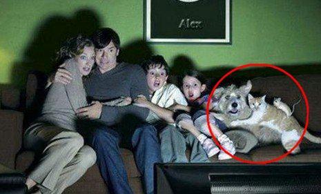 女子顺走衣服嫌颜色不好看,回去换时被抓,把商