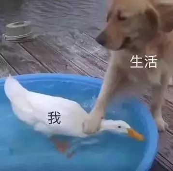 重磅!武汉或将告别公摊,住建部新规:住宅按套