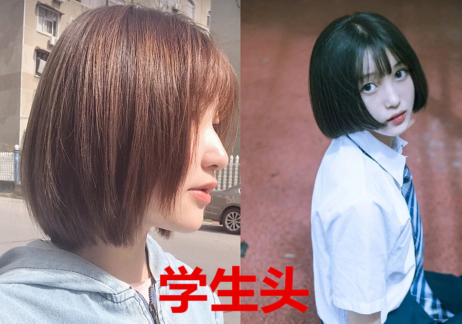 初中生:灯笼辫好看,高中生:学生头好看,大学生:都是啥