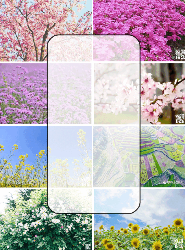 二月·梅花