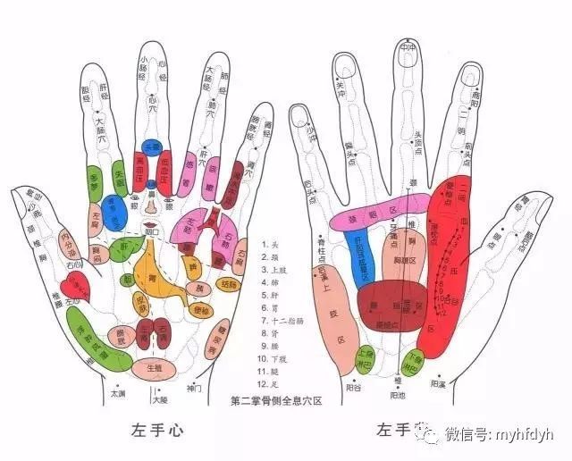手五指通五脏,手五指分属五脏,每指各属一脏腑,拇指属脾胃,食指属肺