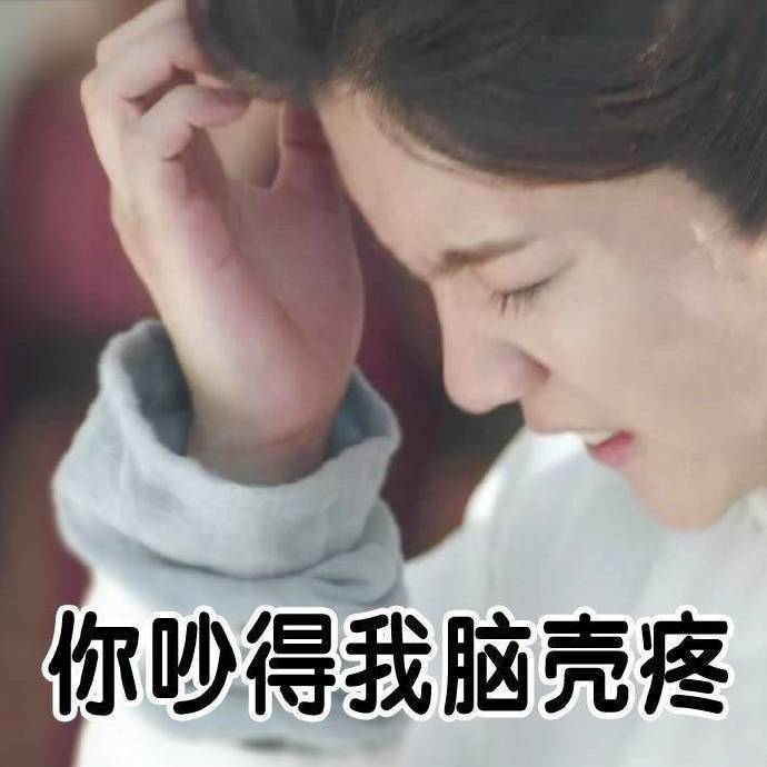你吵的我脑壳疼.