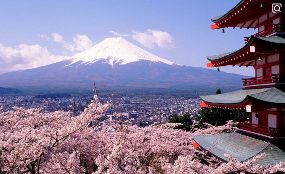 中国游客去日本,看见最真实的日本生活,直言:表