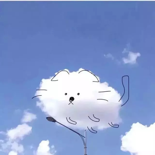 ins·怪味·背景图:"无所谓,我喜欢我的糟糕"