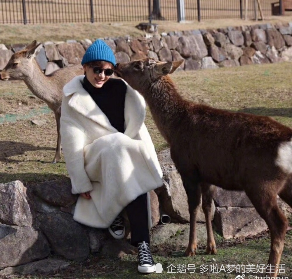 孙俪帮助理半年瘦身70斤,只因坚持这三点,网友