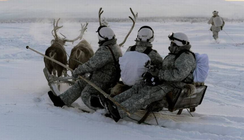 俄特种兵雪地训练,鹿和雪橇犬拉着跑,不要太享受