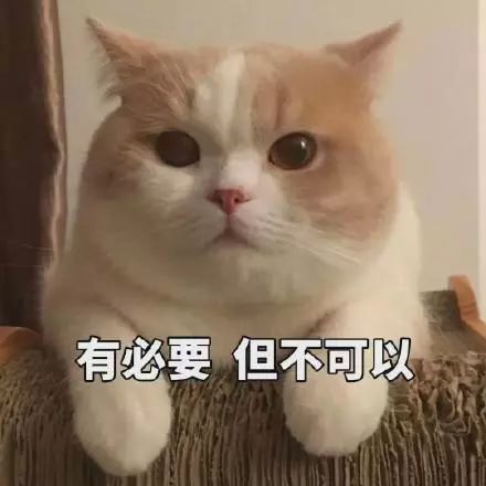 表情包:可以但没必要,有必要但不可以