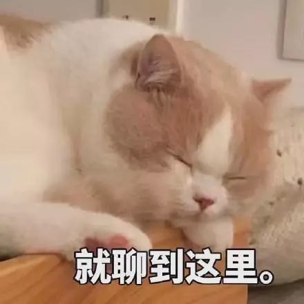 表情包:可以但没必要,有必要但不可以