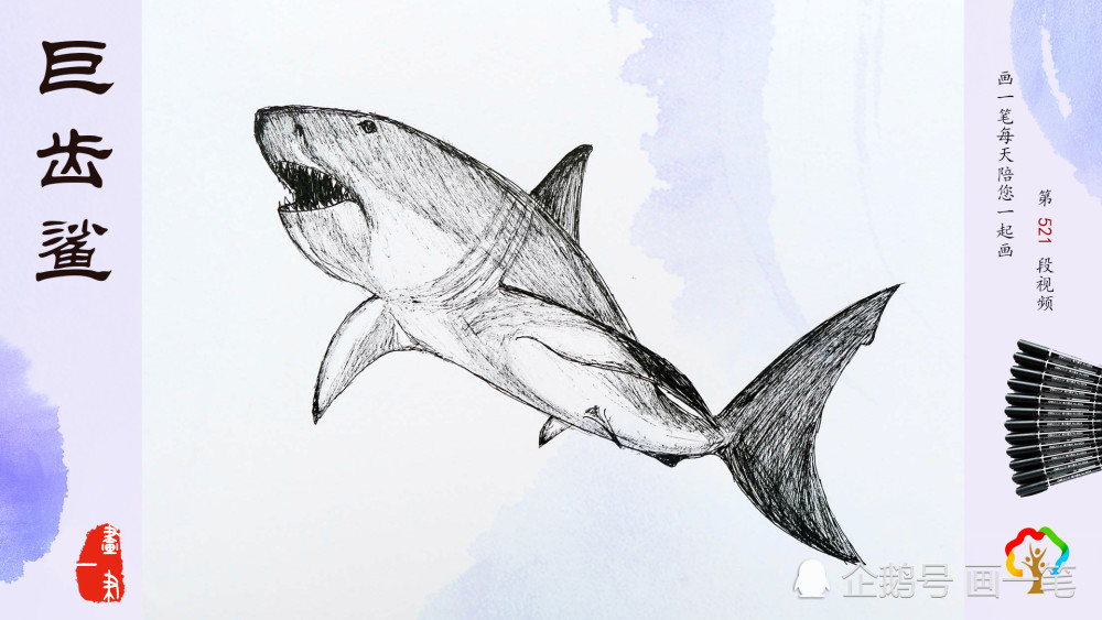水笔画:画画识动物,巨齿鲨