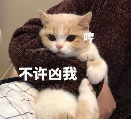 两个凶表情两只企鹅猜成语_两只企鹅采访的表情包