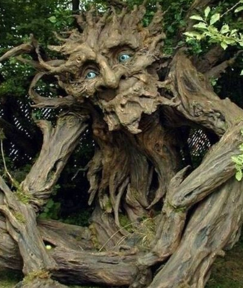 世界上最可怕的"食人树",一被缠住就化为白骨,却人人争相保护