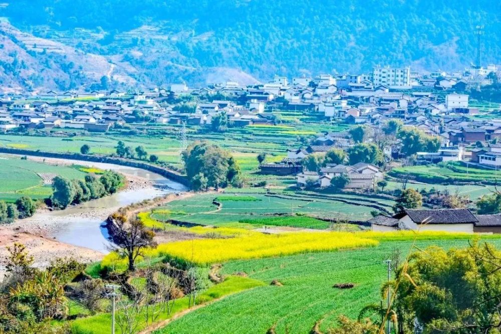 仁和区,永胜县,绿色家园,仁和镇,核桃,大龙潭