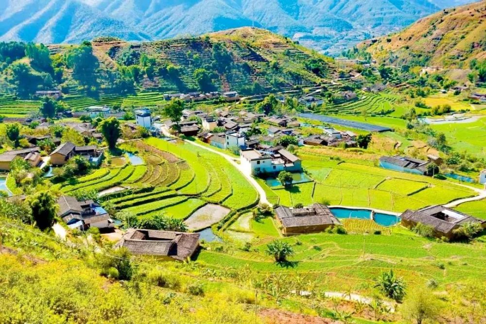 仁和区,永胜县,绿色家园,仁和镇,核桃,大龙潭