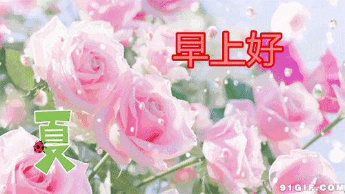 早上好问候语动态表情带字图片 新版漂亮的早安问候祝福图片带字,群发