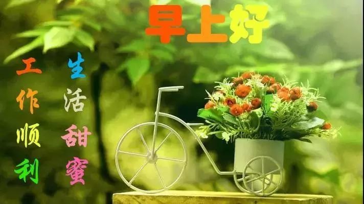最新版早上好祝福语大全,早安问候祝福语带图片