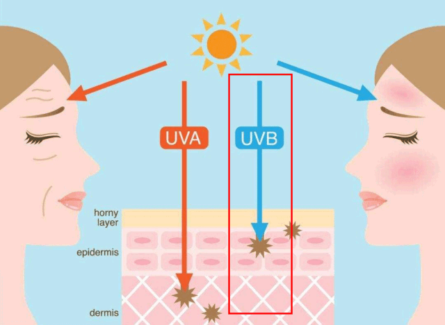 640_468 gif 动态图 动图
