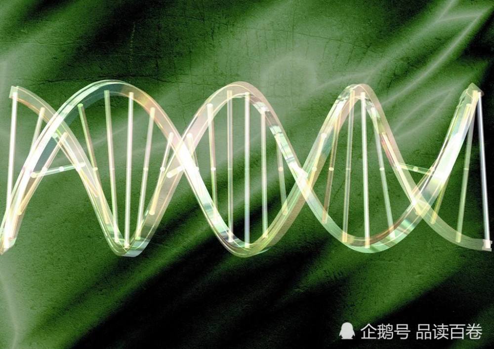生物学家突破生命法则 创造了8碱基的dna 看点快报