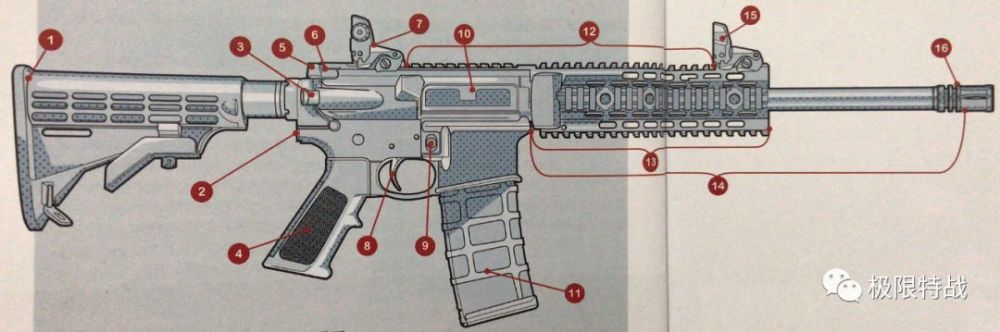 ar突击步枪的有哪些共同结构
