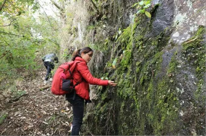 魁头山被丑化成鬼头山