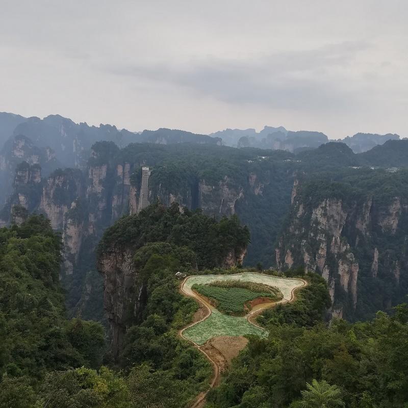 游玩峰林奇观杨家界景区,含乌龙寨,天波府,一步登天,空中走廊; 杨家