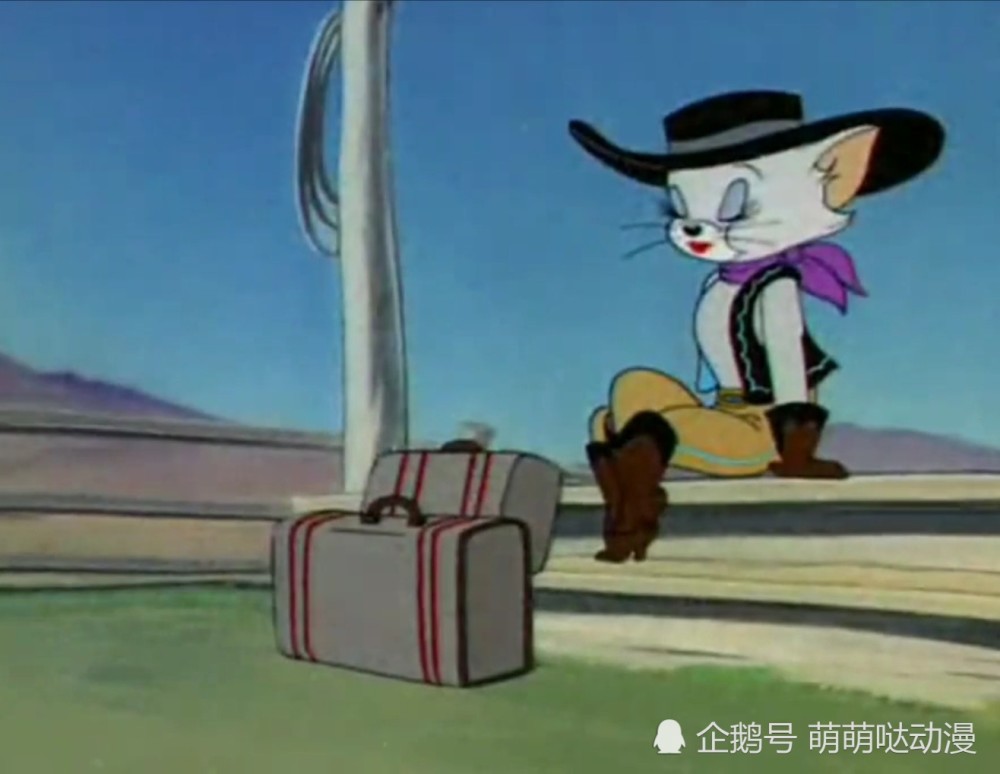 汤姆猫曾经喜欢过的仙女猫们,竟然越看越像老鼠