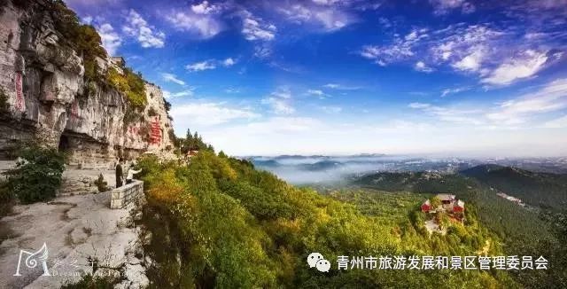 青州的春天来了,到处是花啊