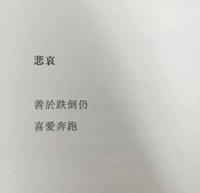 ins·文字背景图·头像:时间会冲淡伤痛,美好的事物才会永存