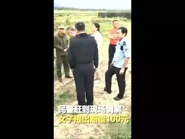 请勿再来海南偷菜偷水果!6名老人组团三亚偷芒果被抓