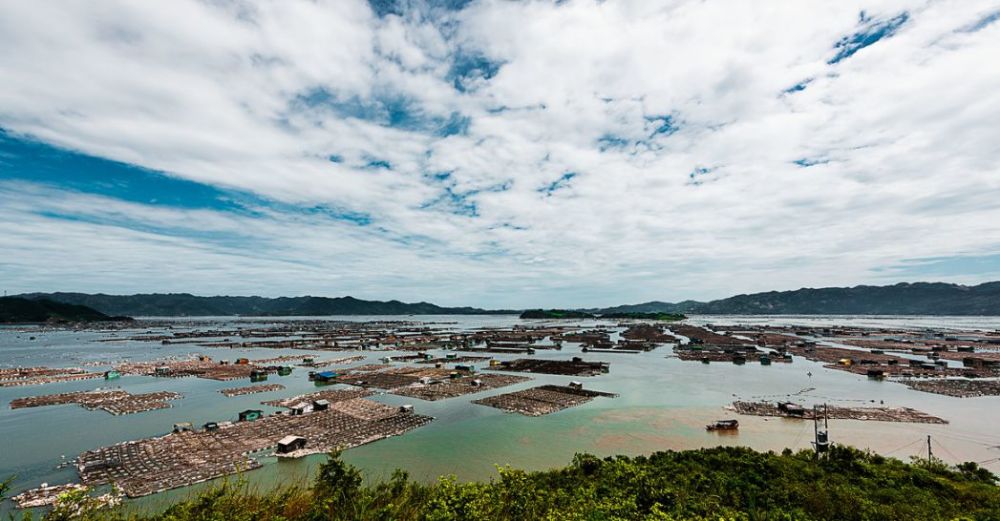 霞浦县,小皓村,沙江镇,村庄