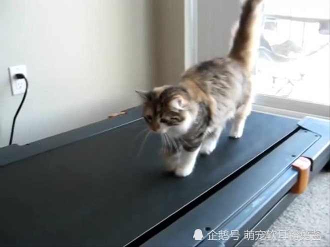 天天快报kuaibao