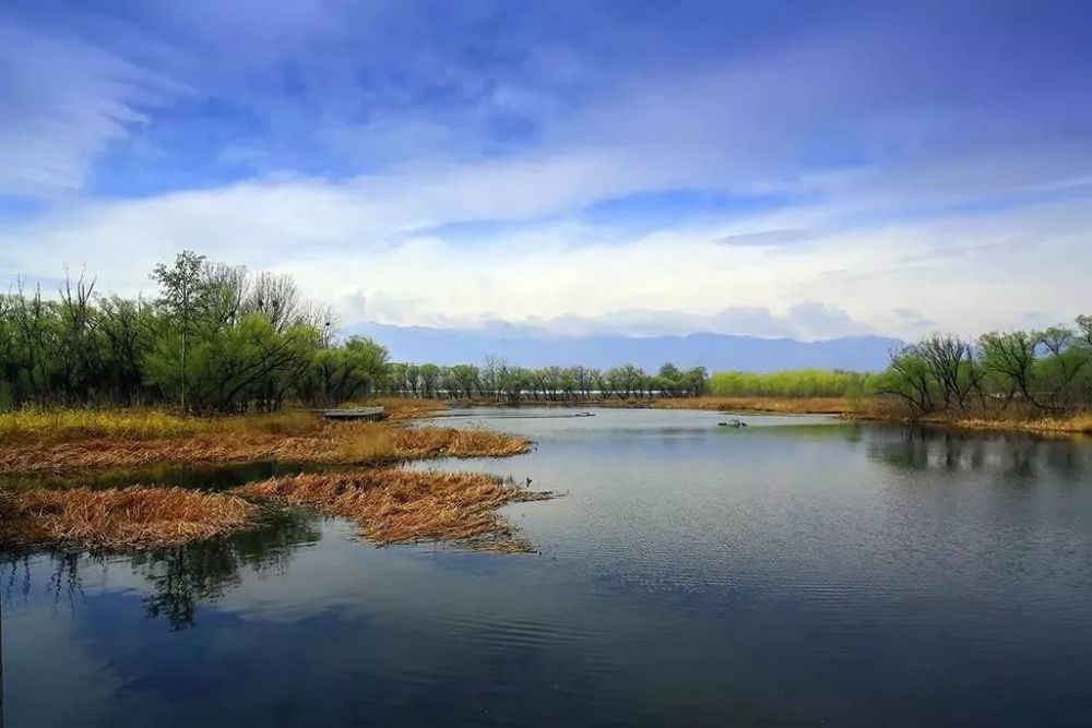稻香湖湿地公园