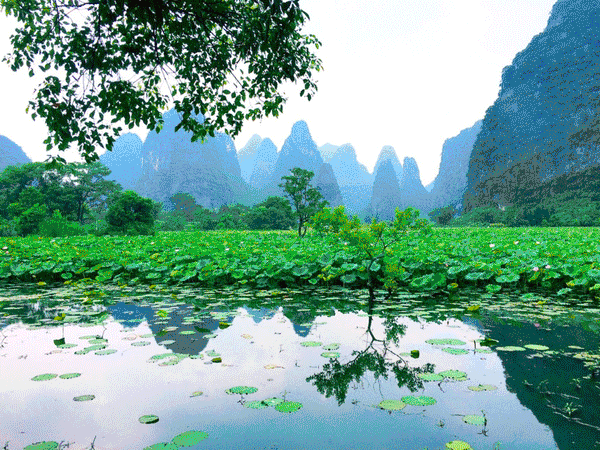 摘新鲜脐橙,打卡七彩童话村,这里的风景绝对比周末的被窝更美好