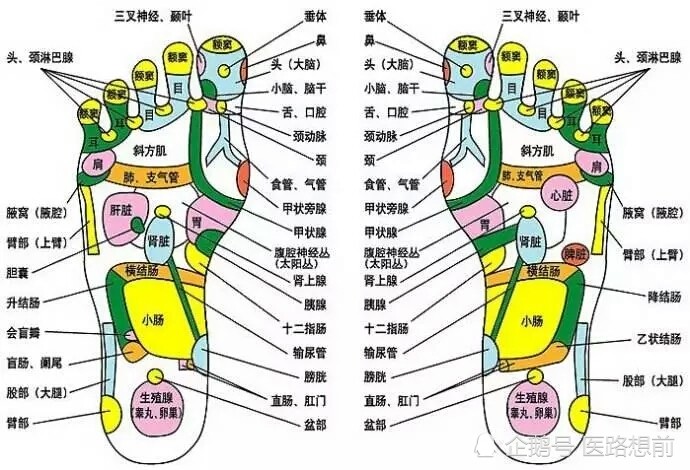 找到足底肝胆反射区,用按摩棒顺着脚趾方向向前推,每次3-5分钟即可.