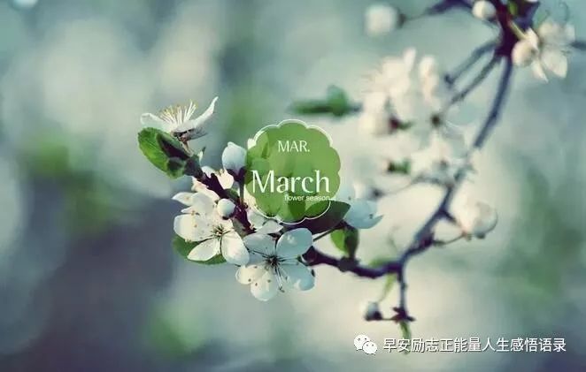 二月再见三月你好图片 二月再见三月你好说说