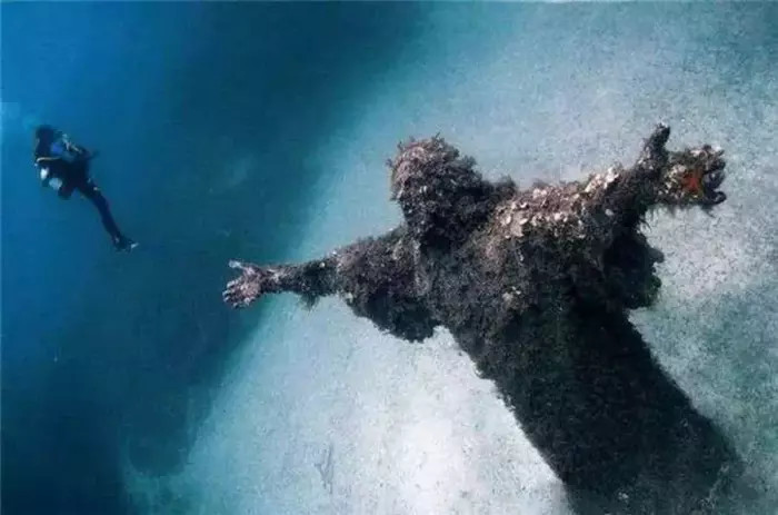 深海恐惧症测试,一张比一张"吓人",这9张图你能安然看
