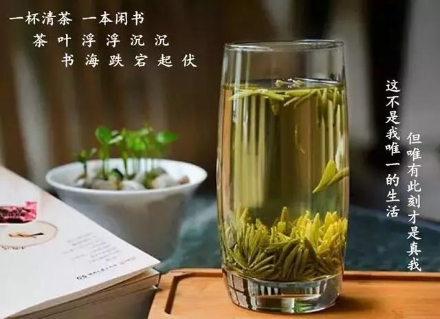 一杯清茶,一本闲书,一曲音乐,一种生活