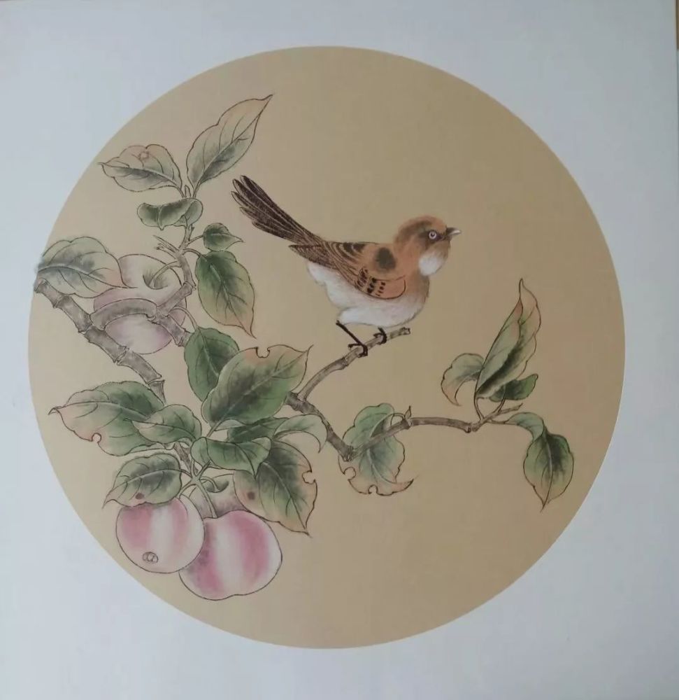 戴青池工笔花鸟小品50幅,清新动人!